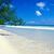 Donna Guido Pelehaty's profile image