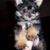 Catherine De Haven Mitchell's profile image
