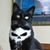 Daniel Garcia's profile image