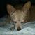 Darlene Lopez's profile image
