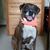 Jane Brda's profile image