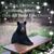Tammy Bedard's profile image
