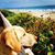 Susan Boone Dunford Dell's profile image