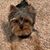 Peggy Jo Sheffield's profile image