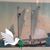 John M Gruen's profile image