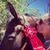 Jen Kessler's profile image