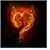 Kimberly Thompson's profile image