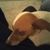 Michael Joseph DeMarco's profile image