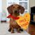 Kristi Mowery's profile image
