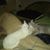 Ramie Wiedrich's profile image