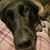 Jenn Gagne's profile image