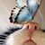 Denise Vardaro's profile image