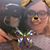 Andrea George's profile image