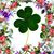 Christine F. Patrick's profile image