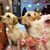 Nancy Casper's profile image