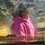 Melinda Kay Gammon's profile image