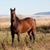 Donnetta Bursch-DuBeau's profile image
