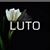 Kaa Santos's profile image