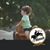 Randee Lefevre Jeffcoat's profile image