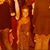 Daniela S. Panneck's profile image