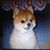 Scotty Rebec's profile image