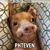 Stephen Whittaker's profile image