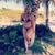 Brittany Steinhauer's profile image