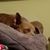 Karri Abston-Waters's profile image