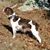 Patti Moulton's profile image
