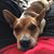 Teresa D Swanbeck's profile image