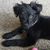 Maryann Bickel's profile image