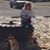 Cynthia Macrina Robertson's profile image