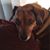 Gayle McInroy's profile image