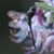 Renee Rose's profile image