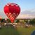 Karen Marshall McFarlin's profile image