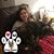 Stefanie Young's profile image
