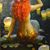 Lynn D. Englund's profile image