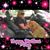 Samantha Eggleton's profile image