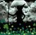 Diana Taber's profile image