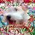 Patti L Reed's profile image