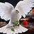 Surenjargal Suren's profile image