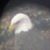 Deb Saunders's profile image