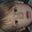 Lach Loughlin's profile image