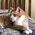 Pam Ballard's profile image