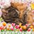 Donna Graham's profile image