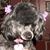 Bobbie Jo Burr's profile image
