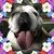 Todd Brewer's profile image