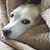 Lyn Warren Munroe's profile image