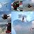 Franklin Alberto Guerra Aray's profile image