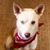 Dawn Hope's profile image